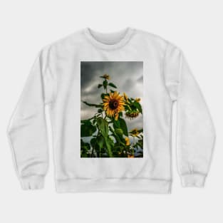 Sunflowers and storms ( We stand with Ukraine) Crewneck Sweatshirt